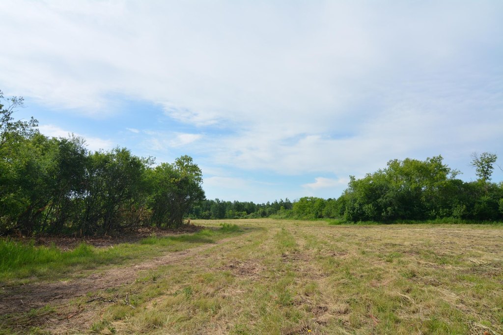 Picture 19