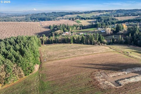 Newberg Land with Mountain Views