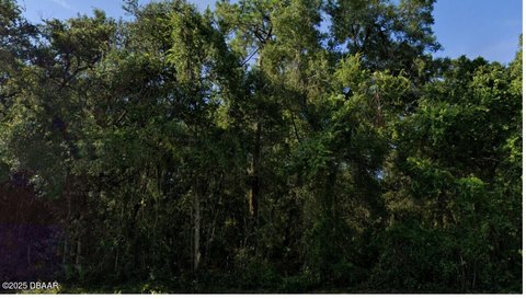 Commercial Lots in Orange City