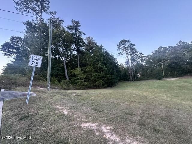 Picture 9