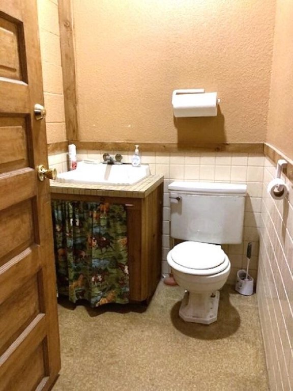 Picture 12