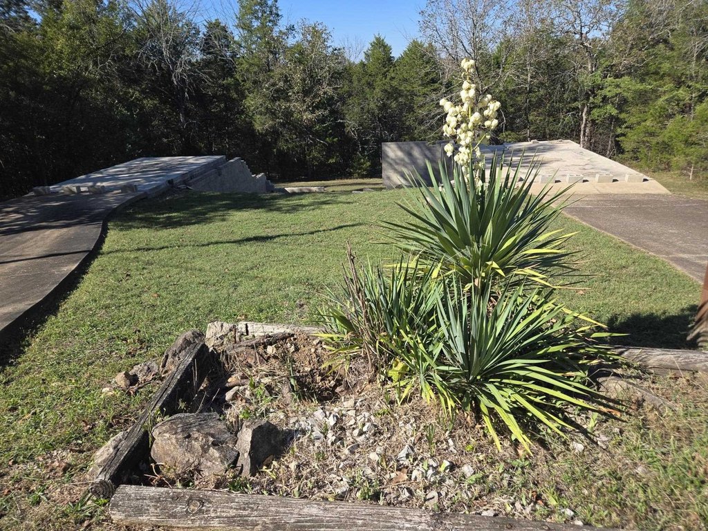Picture 2