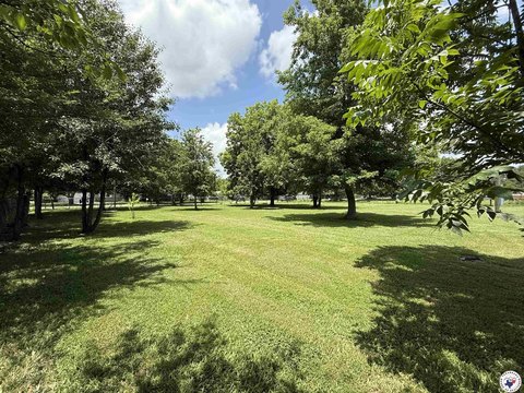 Residential Land in Hooks, TX