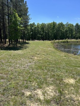 Ready-to-Build Lot in Jasper