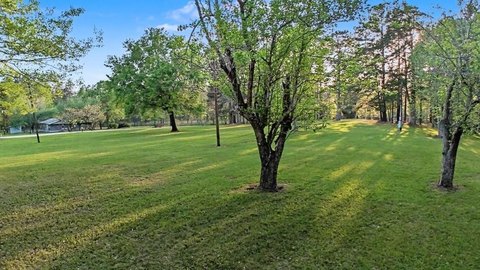 Unrestricted Acreage in Jasper County