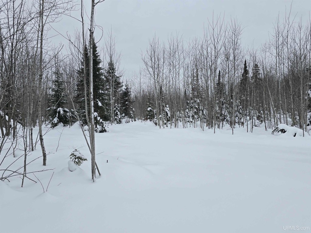 Picture 8
