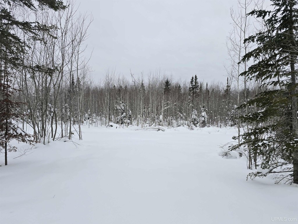 Picture 2