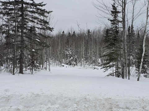 Recreational Land in L'Anse, MI
