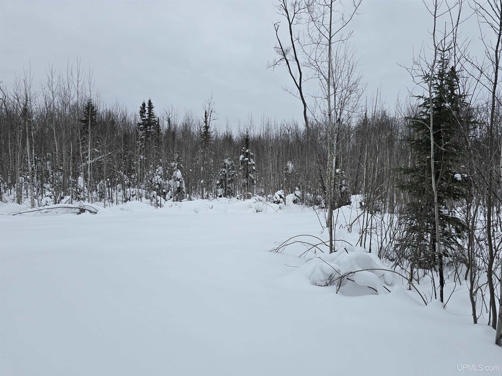 Picture 7