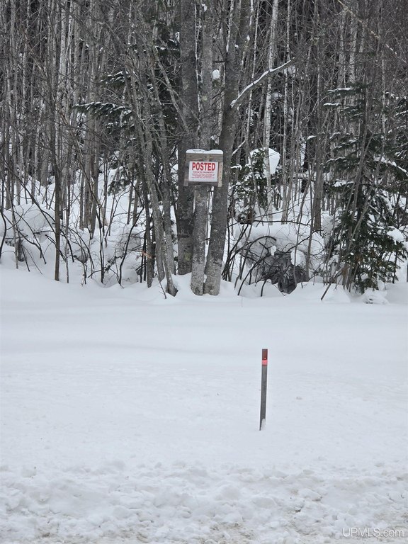 Picture 4