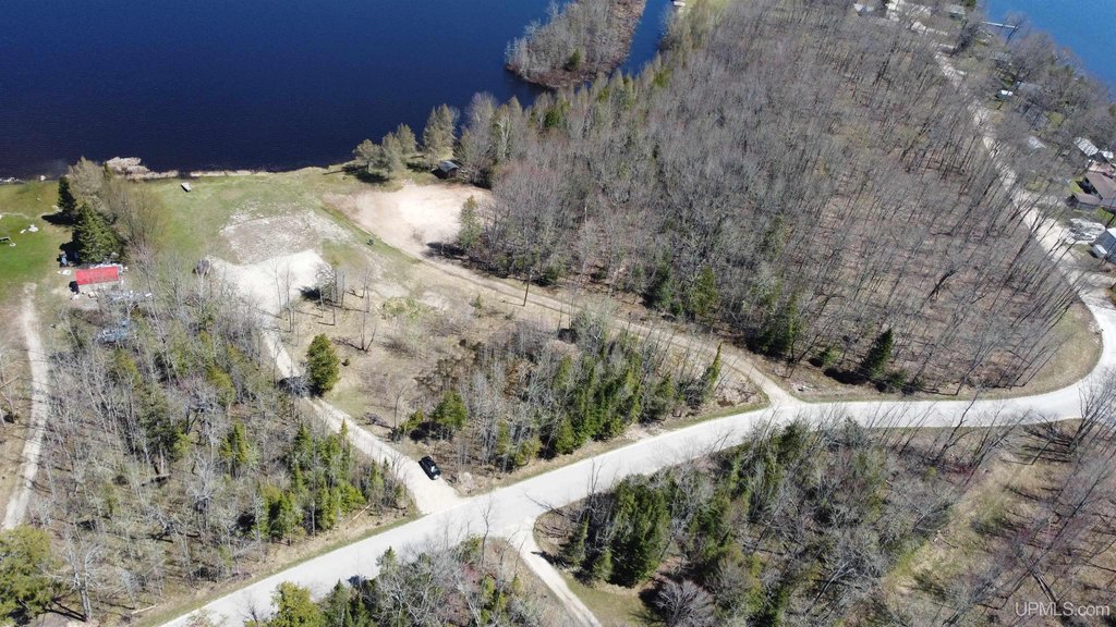 Picture 8