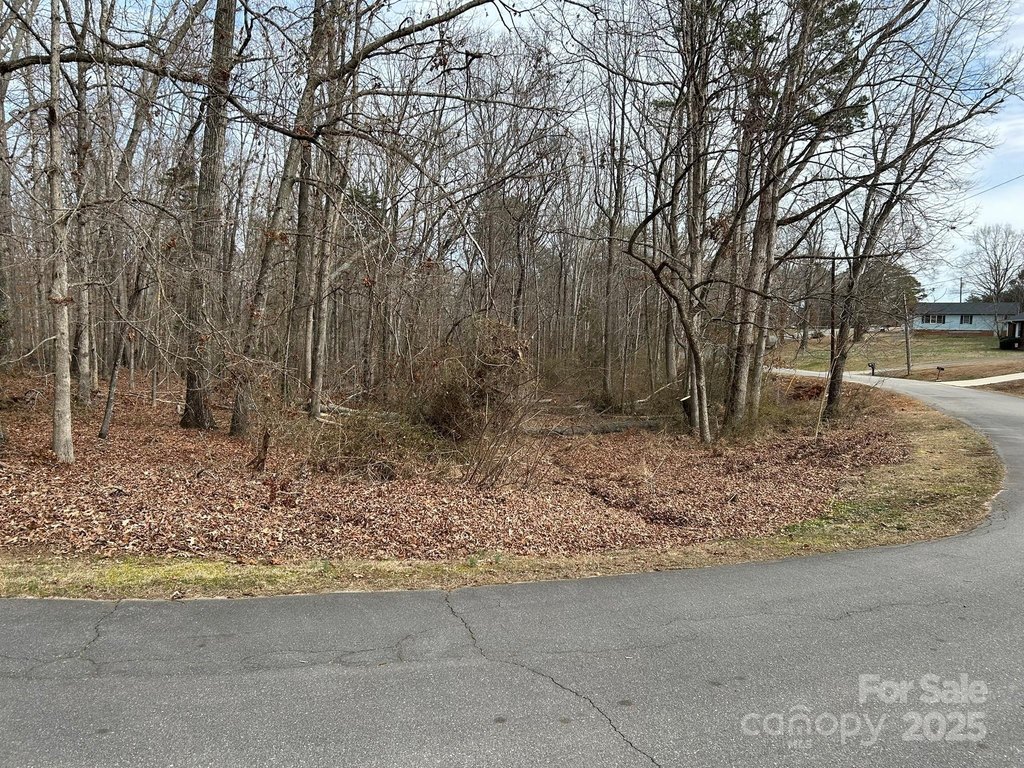 Picture 16
