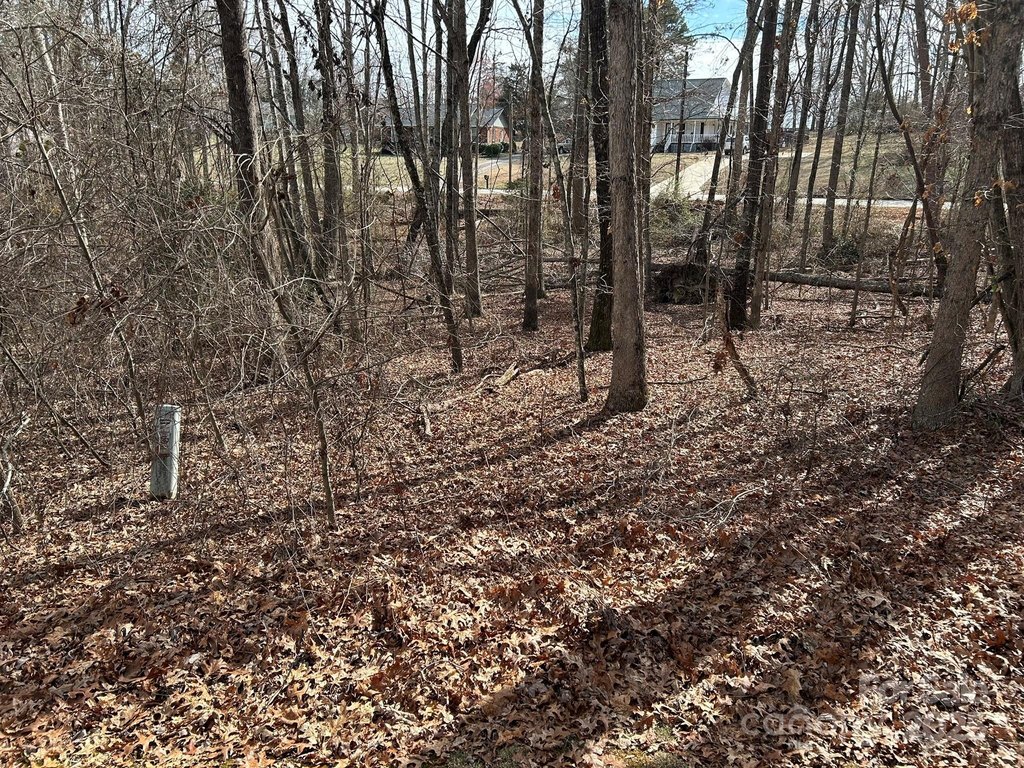 Picture 3