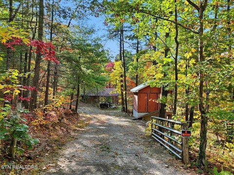 Land Bordering Smoky Mountain Park