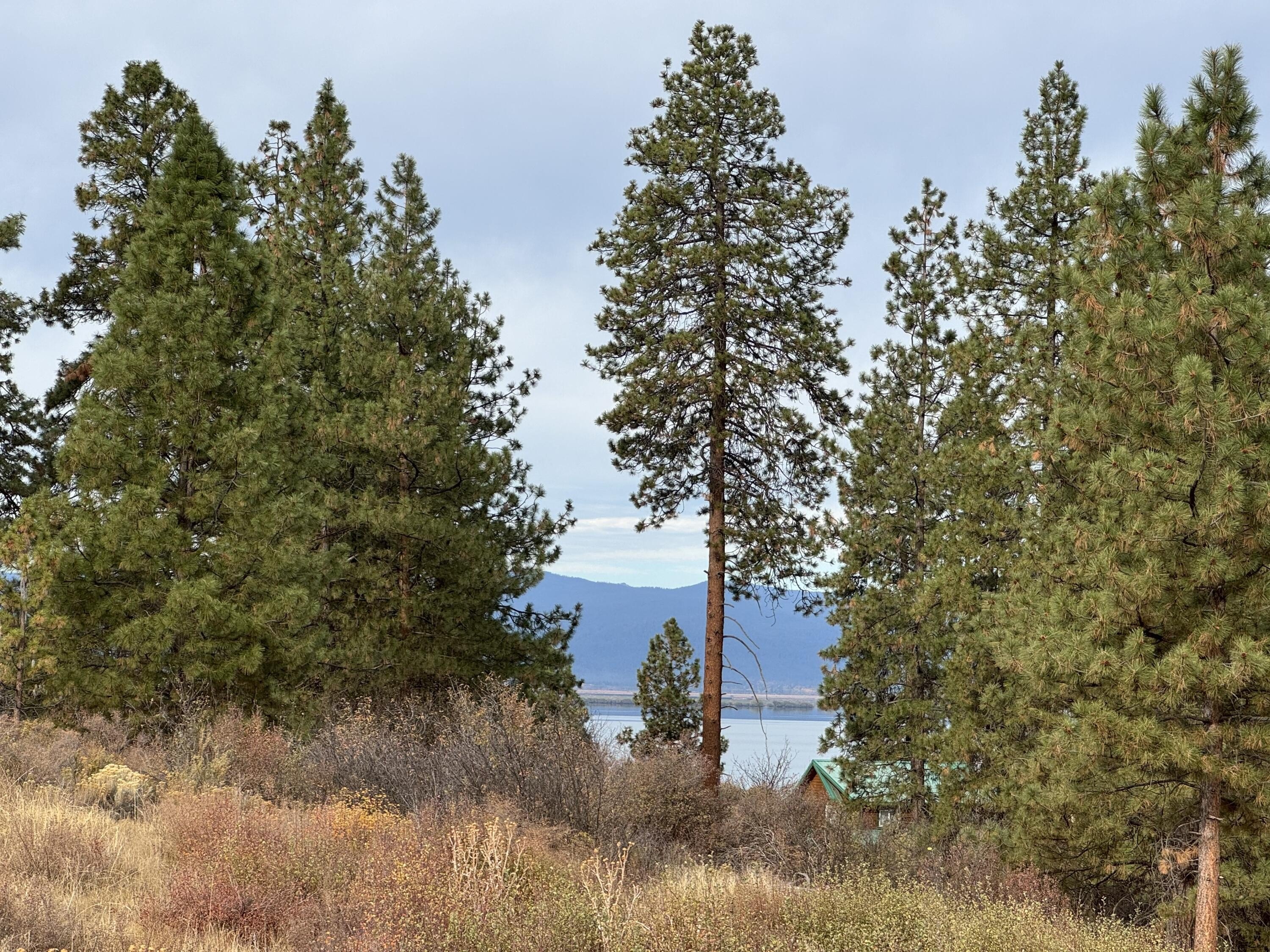Scenic Lot with Lake View