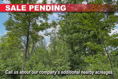 Wooded Recreational Land