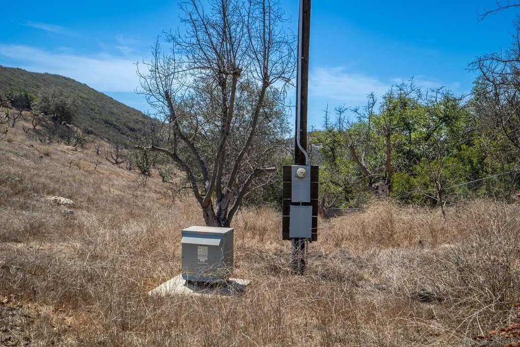 Picture 15