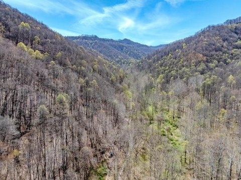 72 Acres Wooded Land, Creek