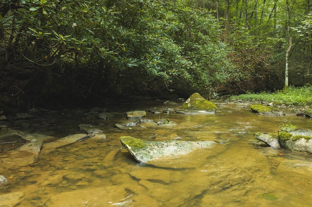 Picture 50