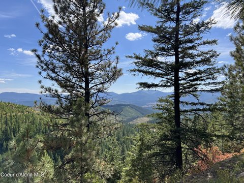 Fernwood Land with Mountain Views