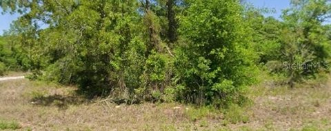 Land, DUNNELLON, FL