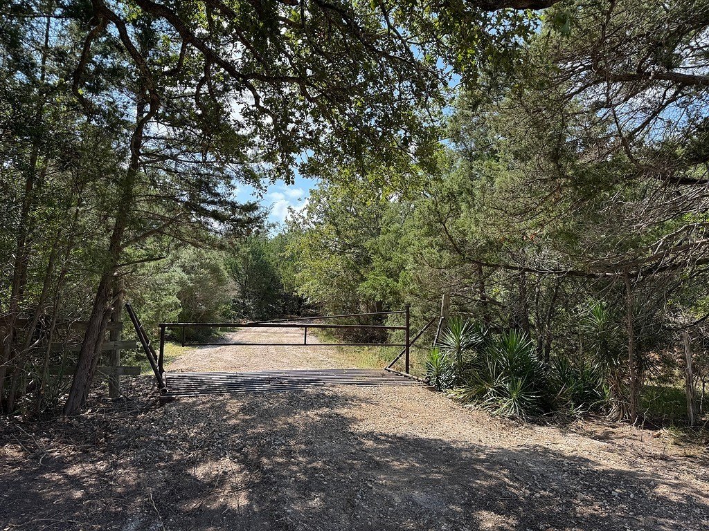 Picture 15