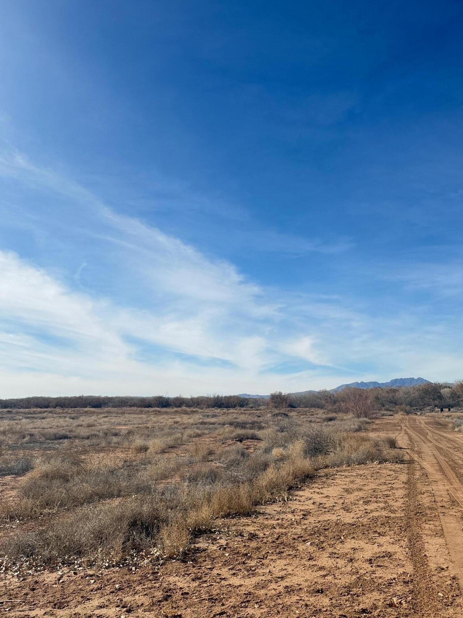 Farmland with Acequia Frontage