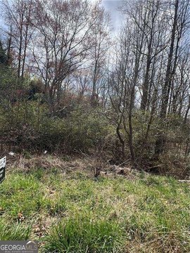 Douglasville Wooded Residential Lot