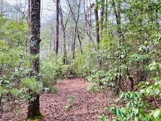 Blairsville Acreage Near USFS Land