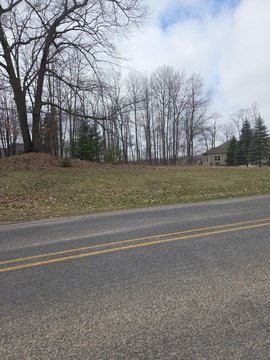 LAND - Stanwood, MI