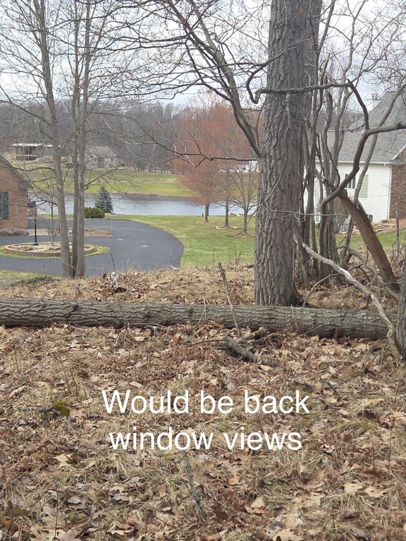 Picture 5