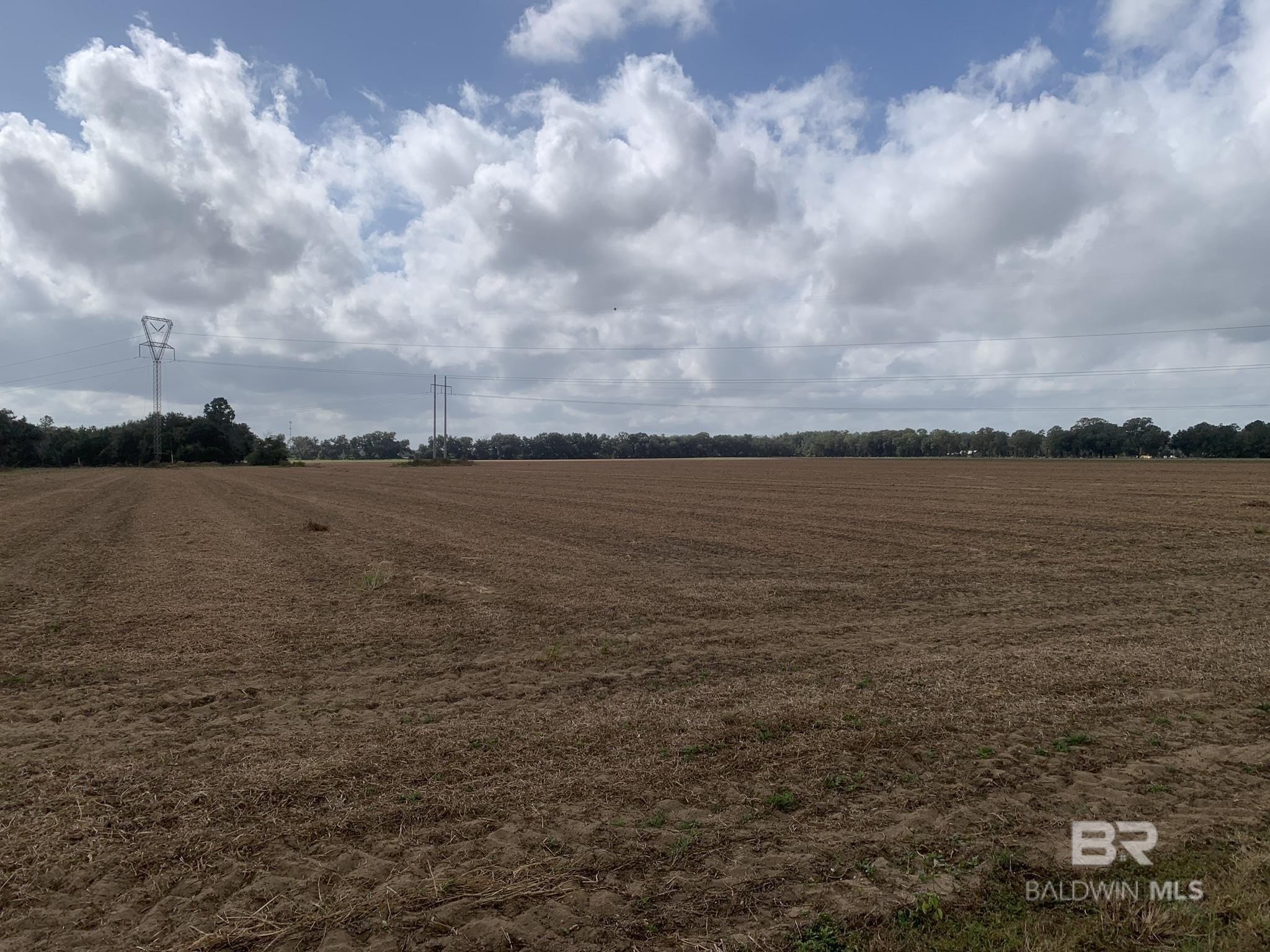 Loxley, AL Vacant Land
