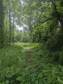 LAND - Bangor, MI