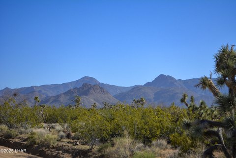 Vacant Land in Yucca, AZ