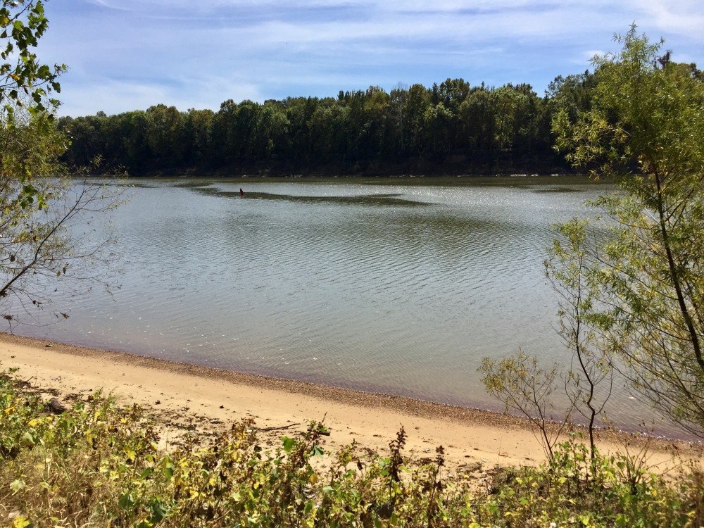 Riverfront Hunting and Timber Investment