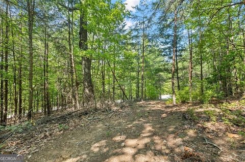 Clarkesville Land with Mountain Views