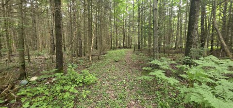 Land, Sault Ste Marie, MI
