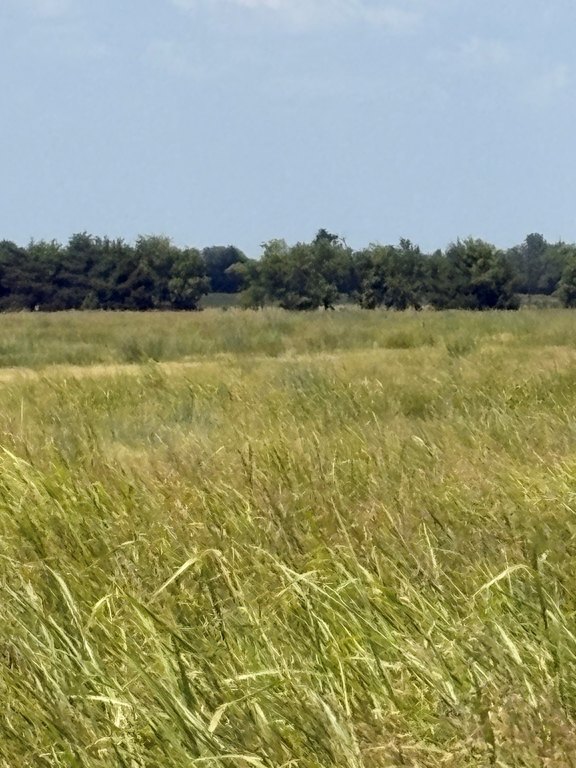 Picture 8