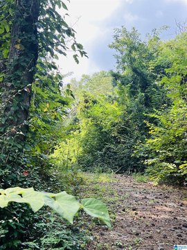LAND - SYLACAUGA, AL