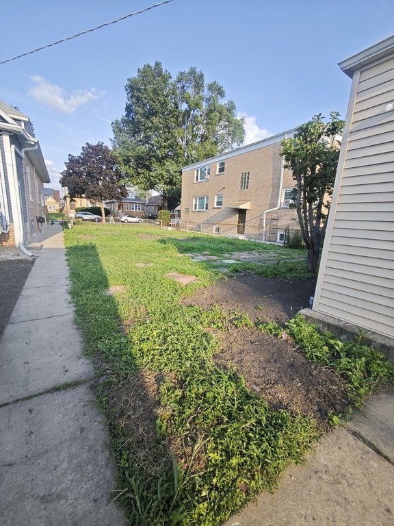 Picture 4