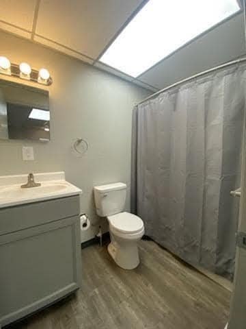 Picture 19