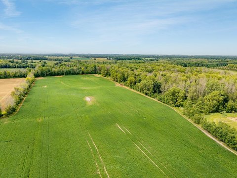 90+ Acre Agricultural Land Parcel