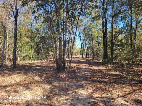 Altha, FL Land Opportunity