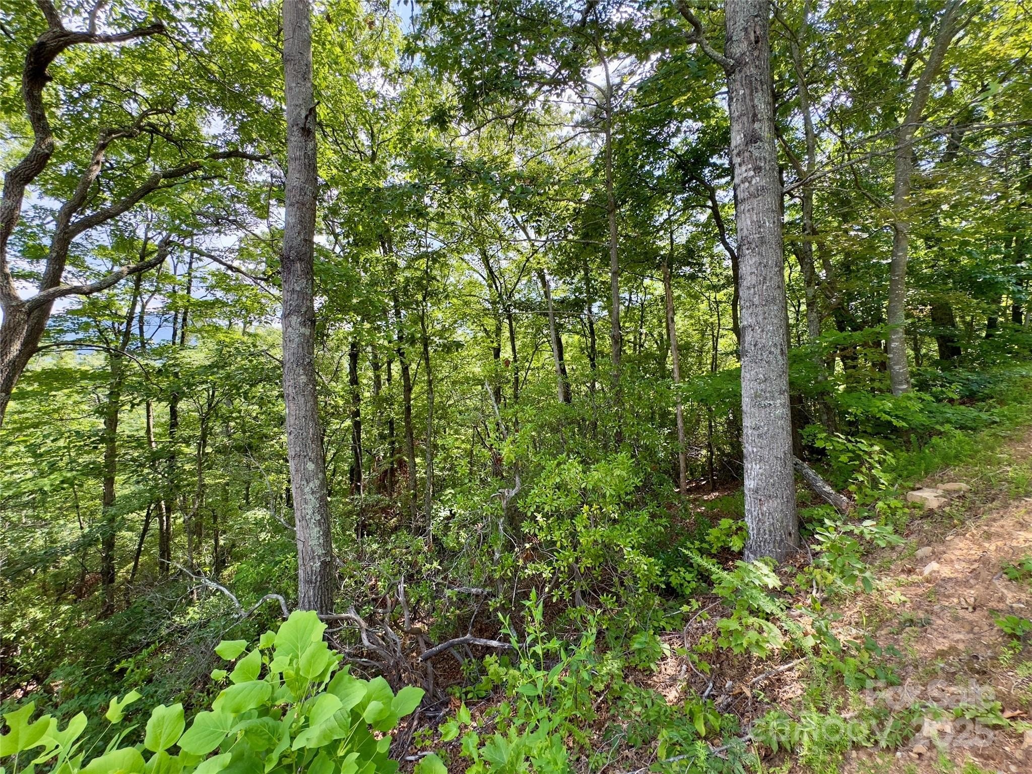 Black Mountain Land in Creston