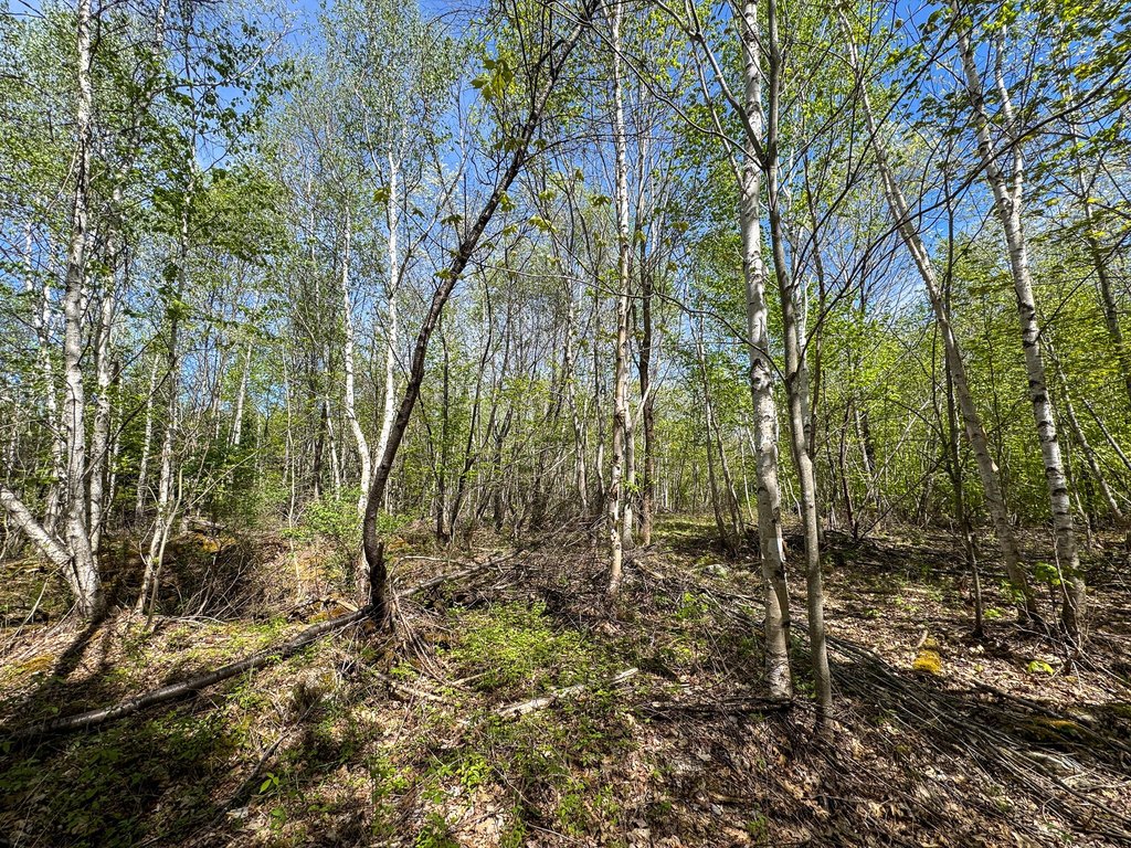 Picture 21