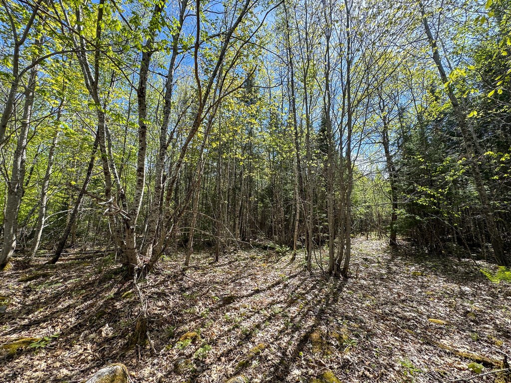 Picture 22