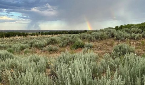 Hunting and Recreation Land Tract