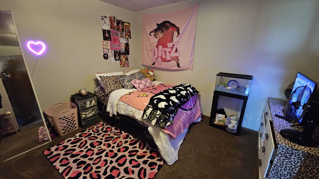 Picture 16