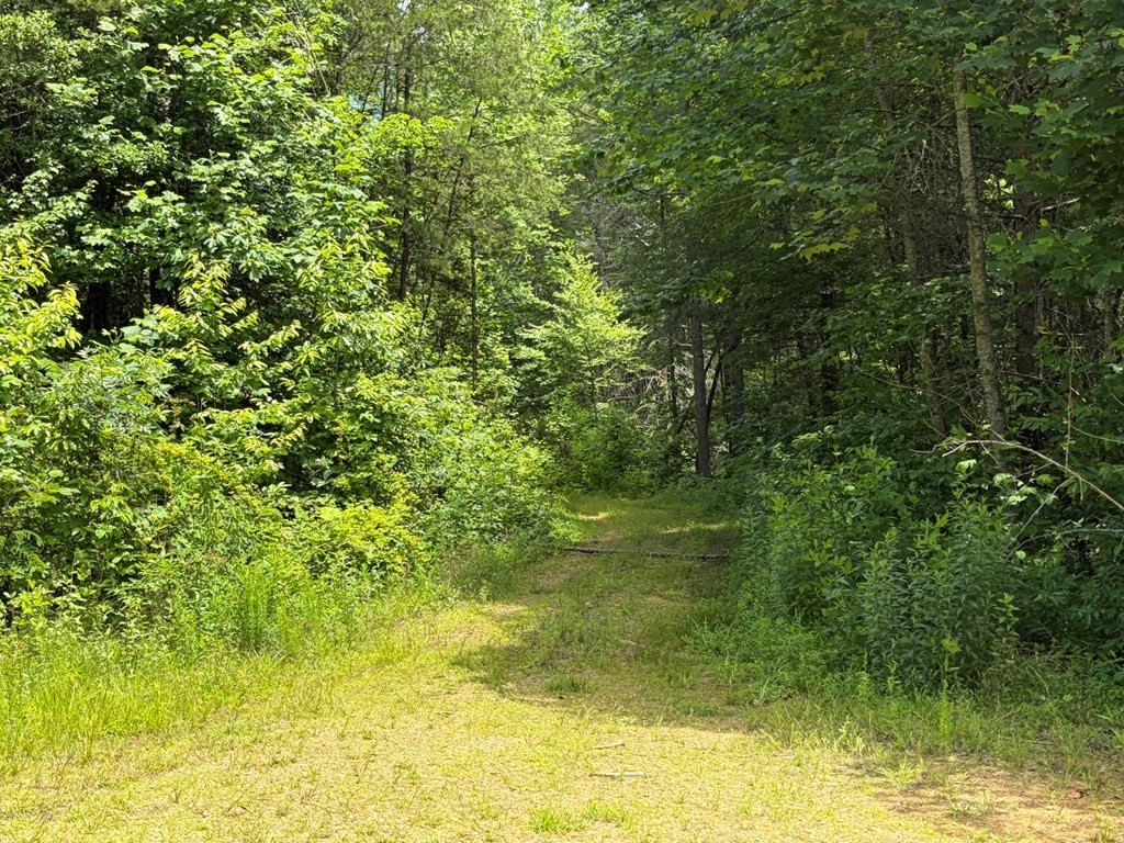 Picture 5