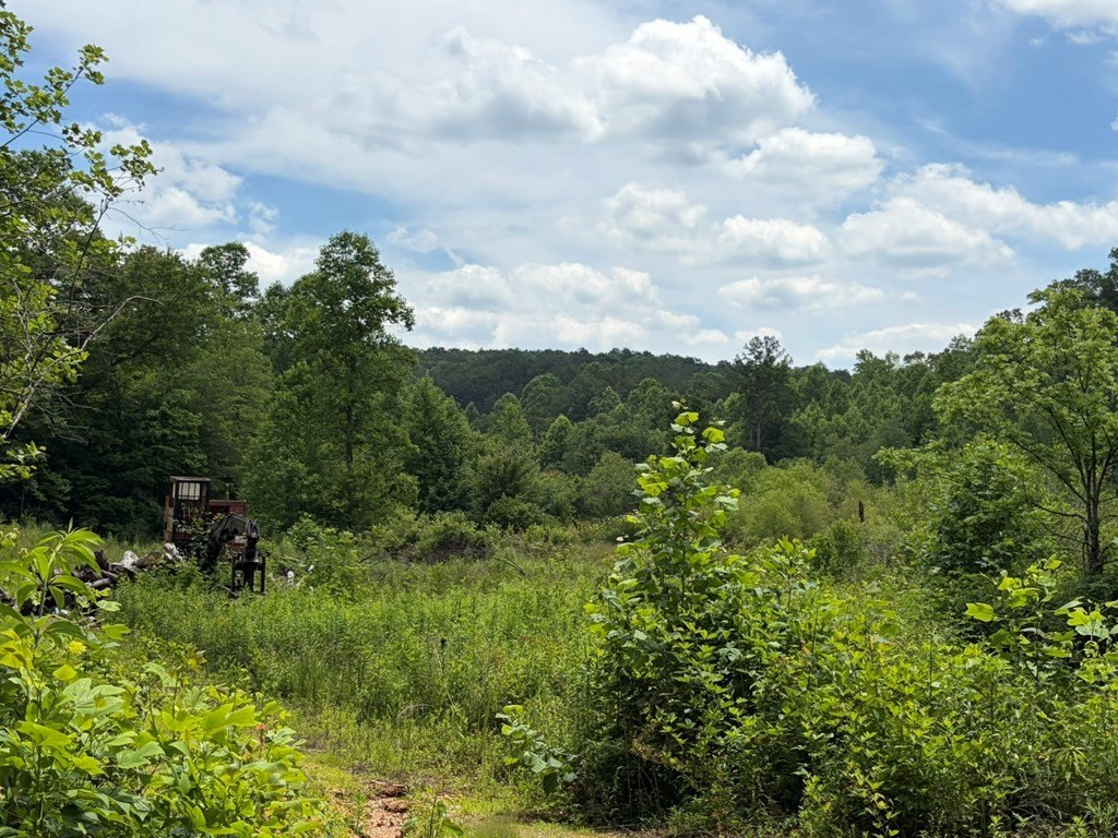 Picture 24
